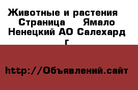  Животные и растения - Страница 6 . Ямало-Ненецкий АО,Салехард г.